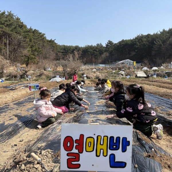 KakaoTalk_20250320_172344077