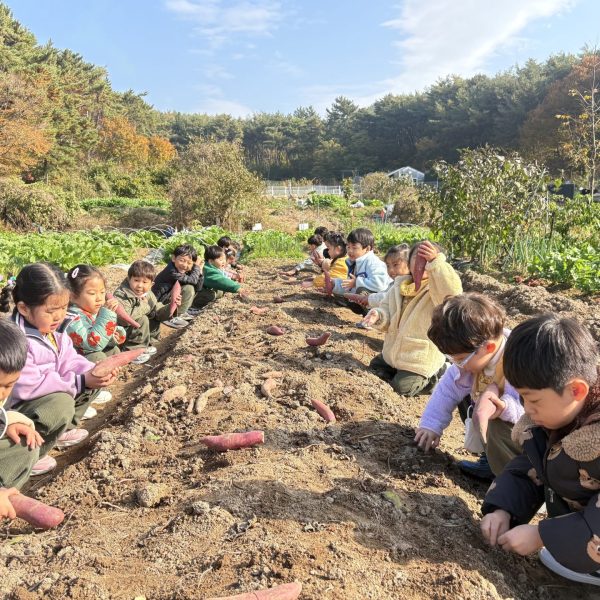 KakaoTalk_20251117_170455719