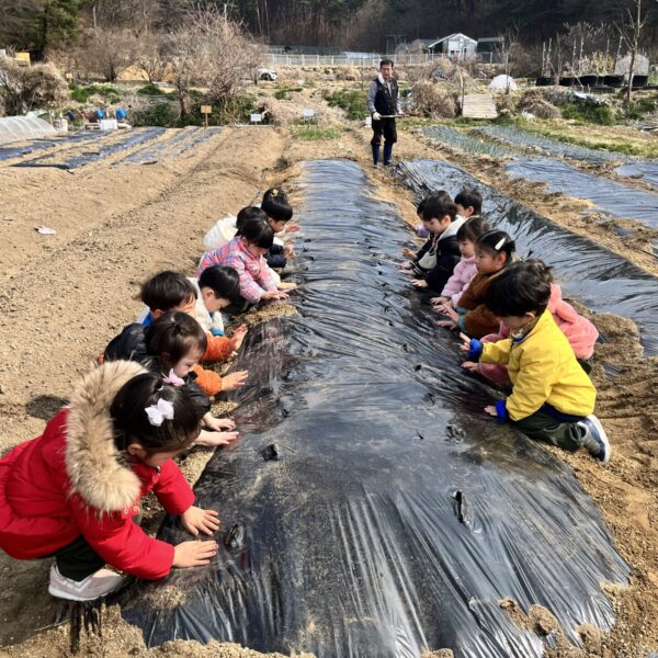 KakaoTalk_20260317_181359963_16