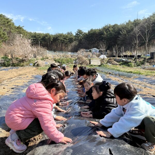 KakaoTalk_20260320_162602838_25