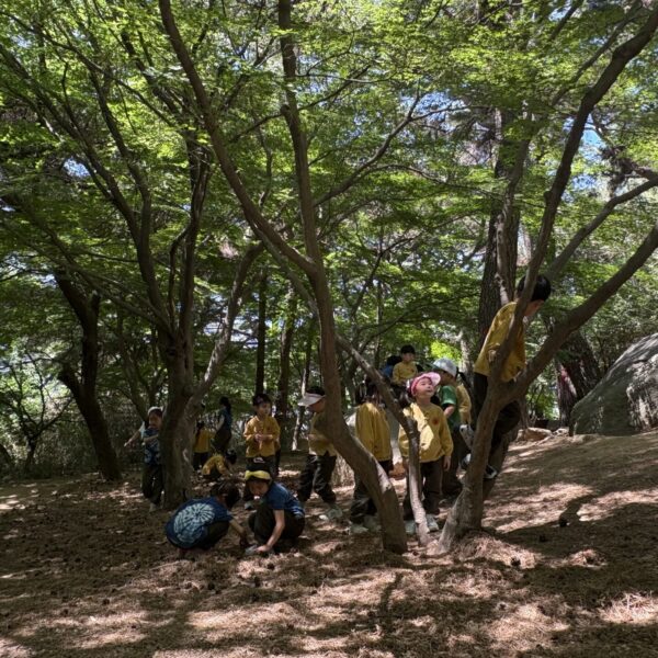KakaoTalk_20260518_194306023_06