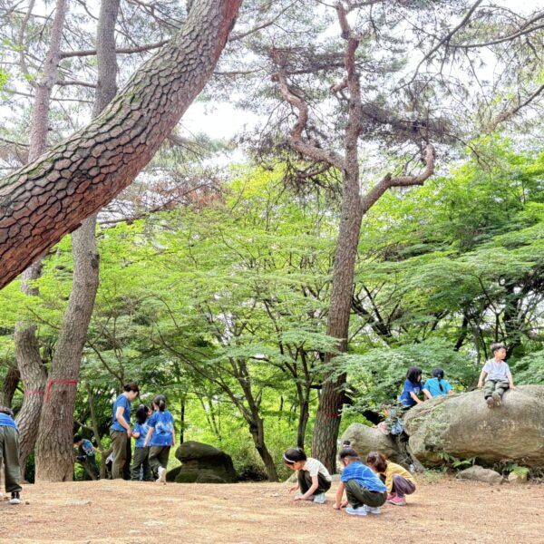 KakaoTalk_20260601_120806151_06