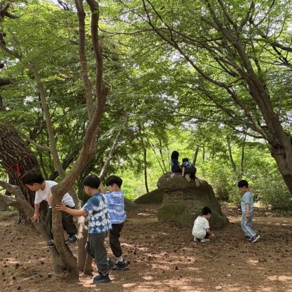 KakaoTalk_20260601_120806151_08