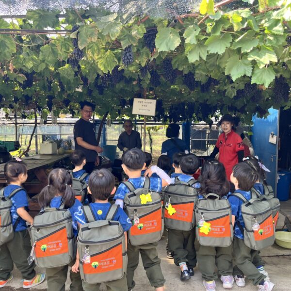 KakaoTalk_20260915_131623150