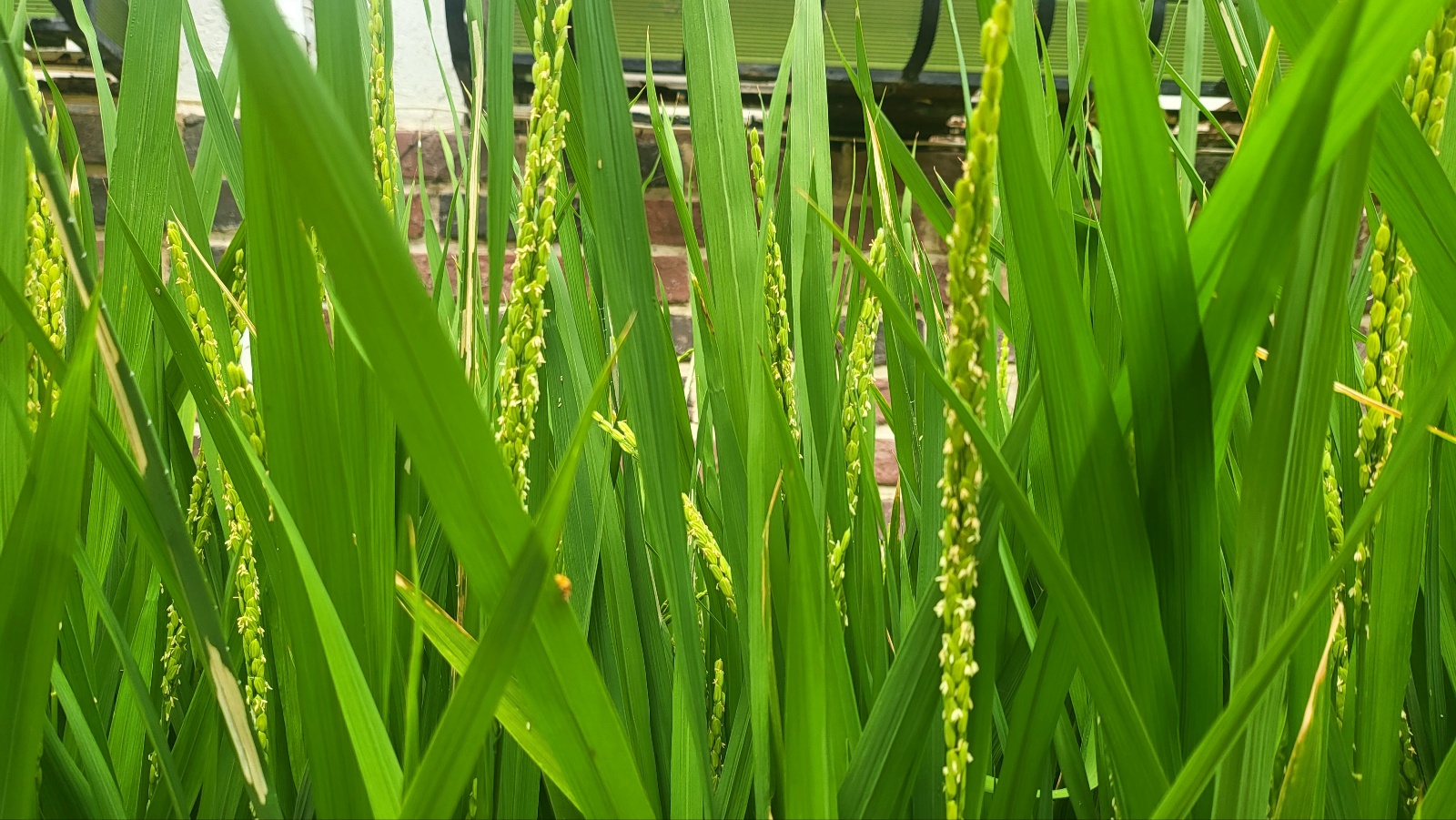 KakaoTalk_20240827_155901661_01.jpg